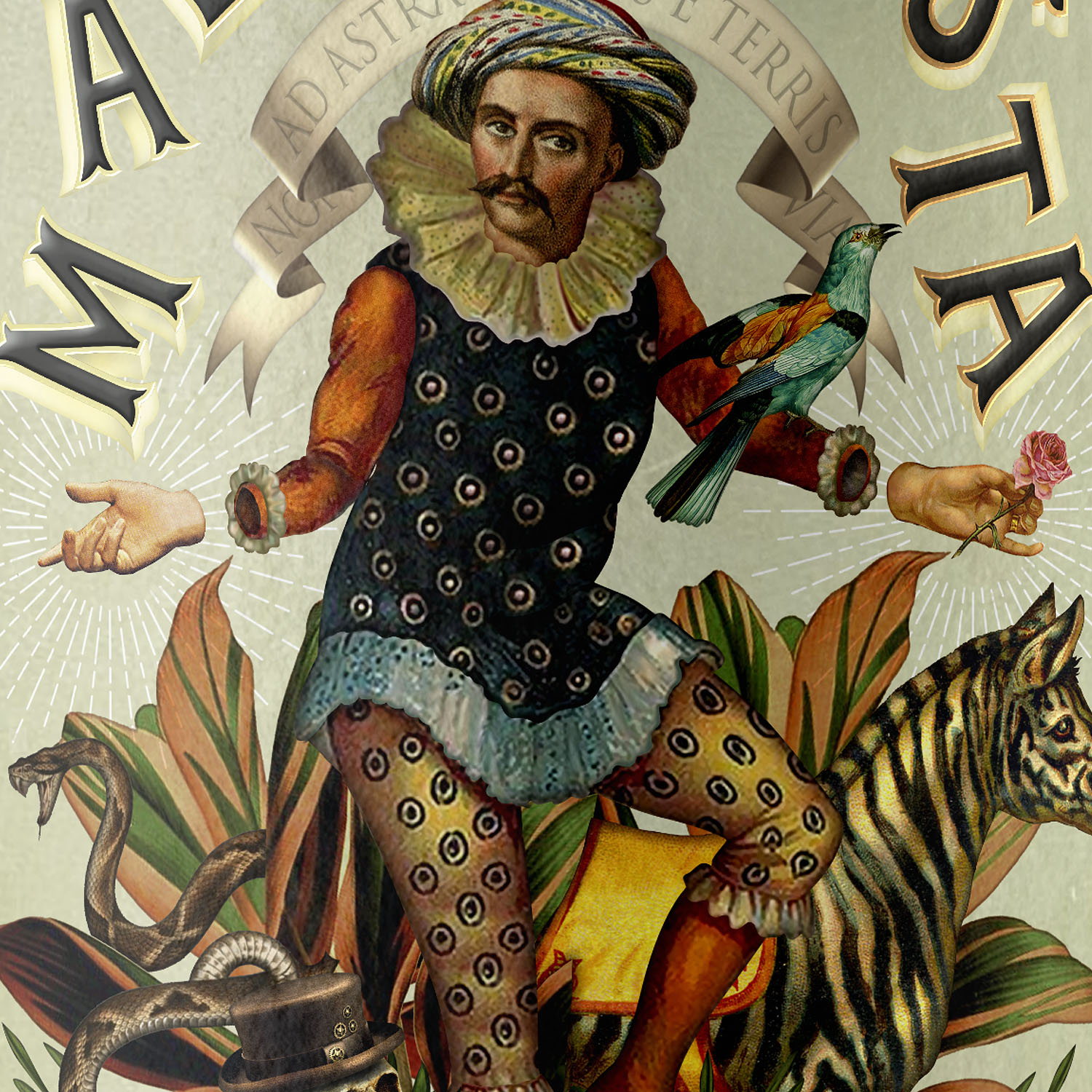 malabarista wine