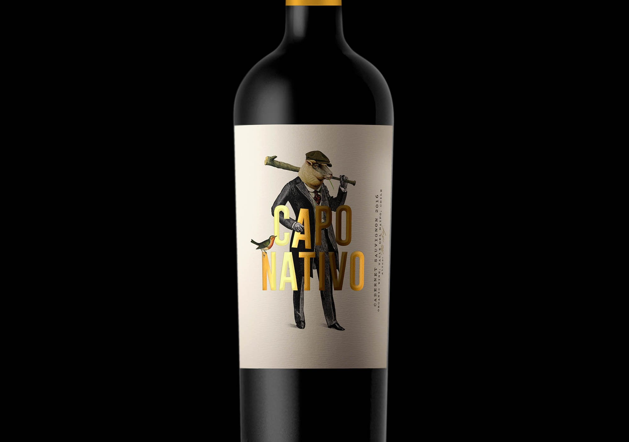 capo nativo wine chile vino oveja remi