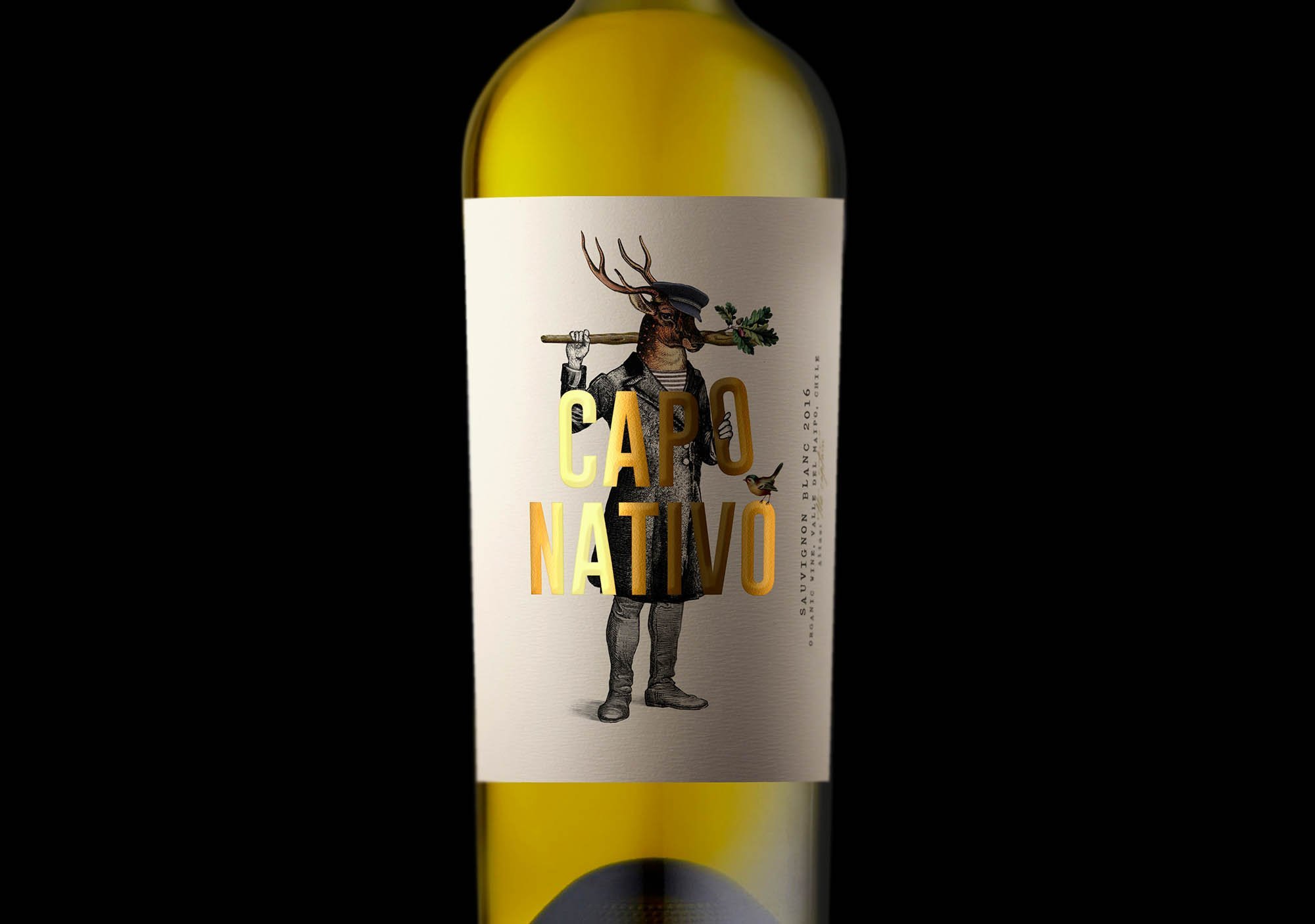 capo nativo wine chile vino oveja remi