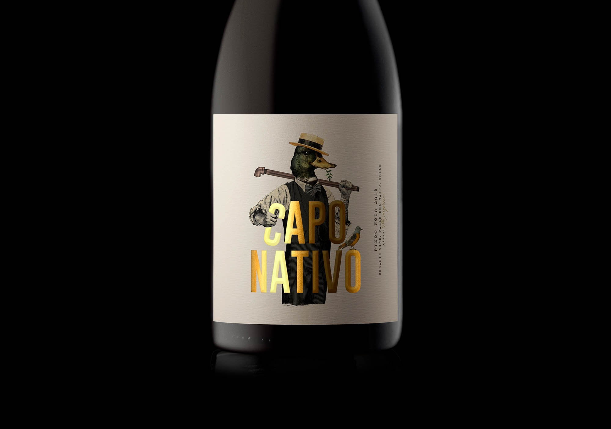 capo nativo wine chile vino oveja remi