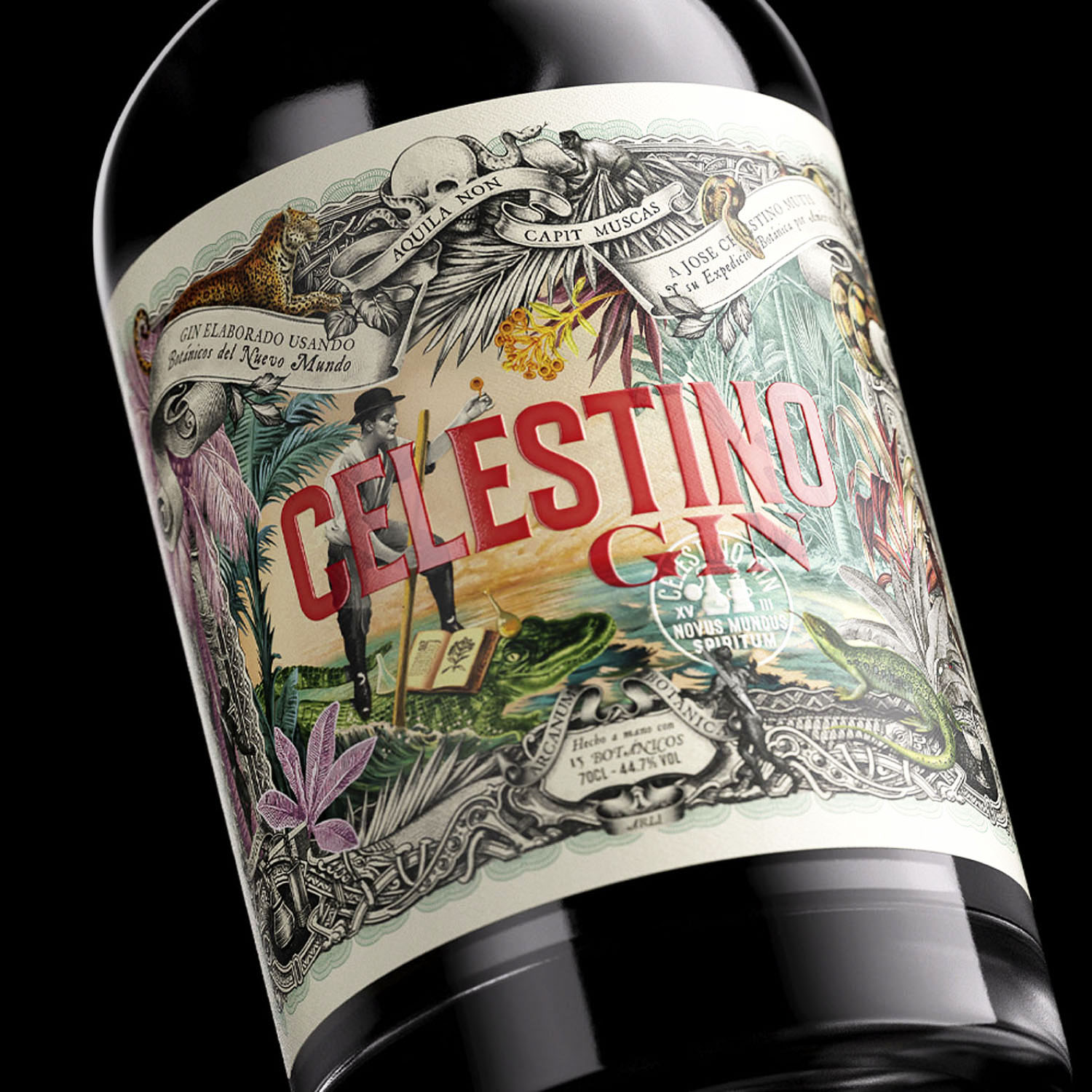 Celestino