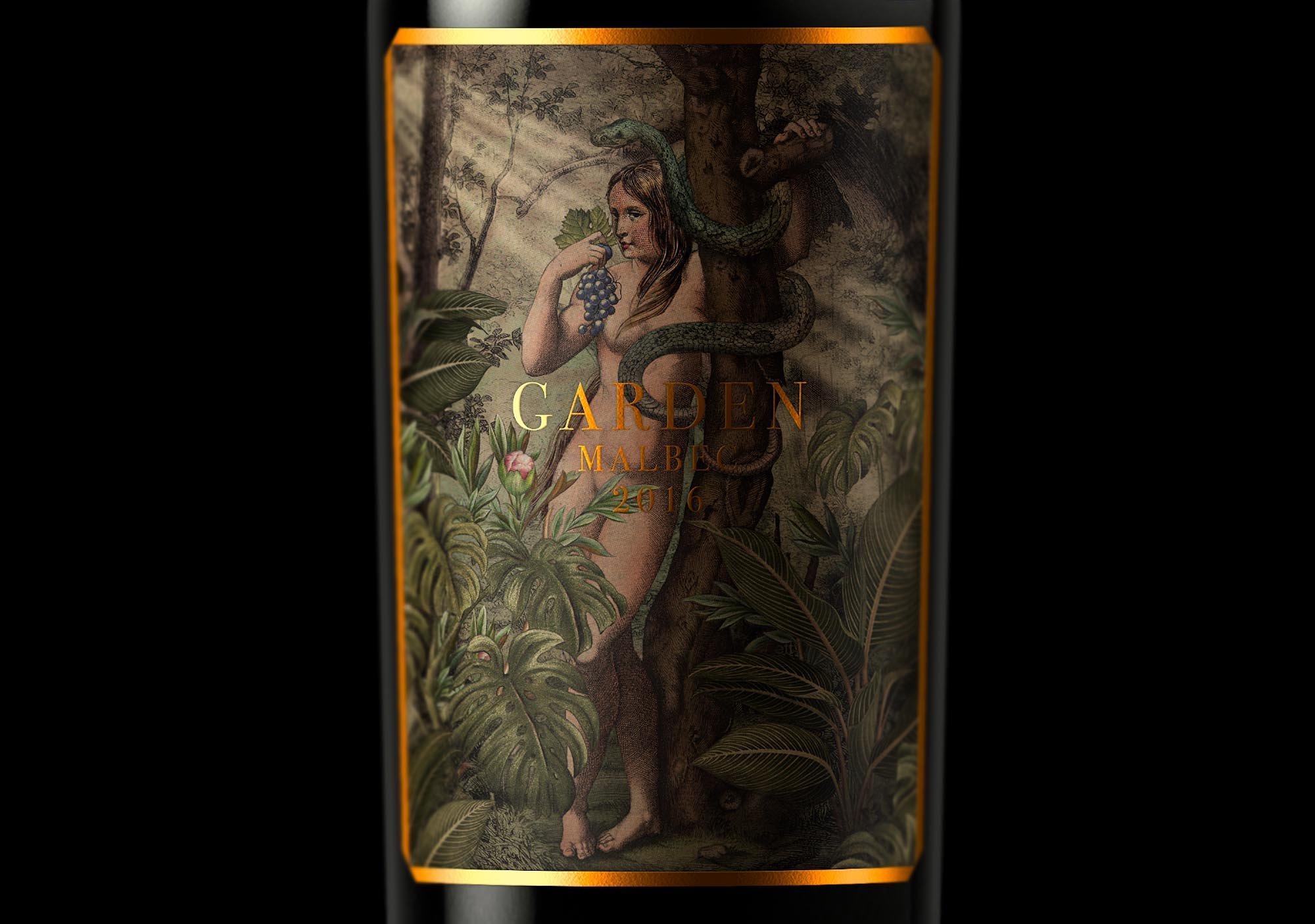 garden wine vino oveja remi