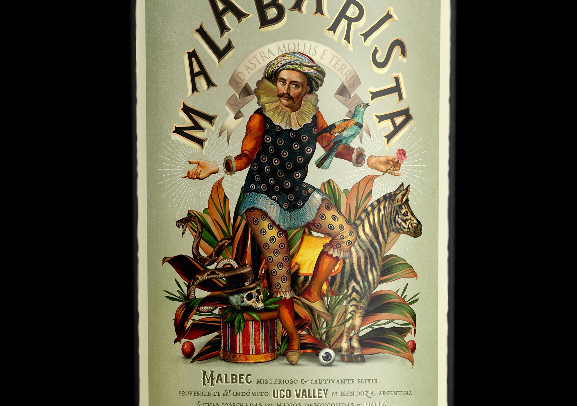 malabarista wine vino oveja remi